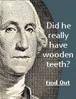 Washington was afflicted with dental troubles through his adult life, but he never wore wooden dentures.